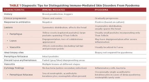 Immune Mediated Skin Disorders Of Dogs Todays Veterinary Nurse