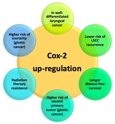 Cyclooxygenase 2 Cox 2 Upregulation In Laryngeal Squamous Cell