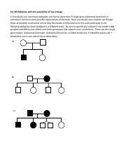 Problem Set B Pedigrees With X Linked Docx Set B Pedigrees With The Possibility Of Sex