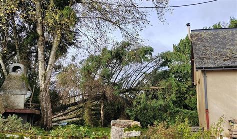 Tempête Ciaran en Mayenne En une heure tous les arbres sont tombés