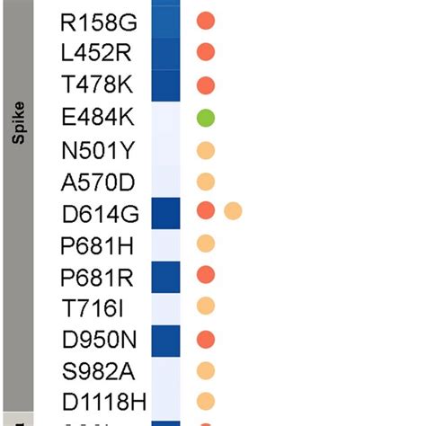 Heat Map Of Frequency Of Amino Acid Mutations Found In Sars Cov