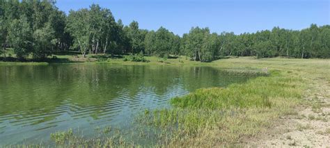 Все взаимосвязано — LiveJournal