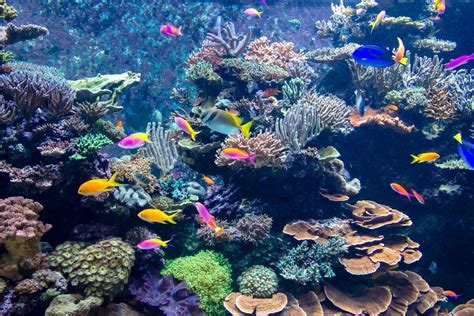 15 Best Aquariums in England for a Day Out in 2023 | Day Out in England
