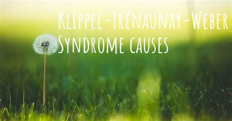 Which are the causes of Klippel-Trénaunay-Weber Syndrome?