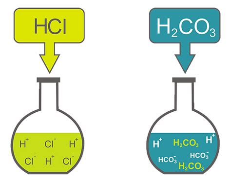H2co3 É Um Ácido Forte Ou Fraco - Equilíbrio Ácido-Base e Micção Urinário | aprendendofisiologia