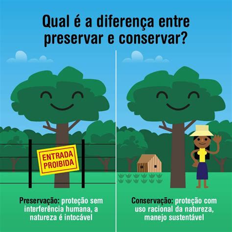 Como Evitar O Desmatamento - Todos contra o Desmatamento: Diferença entre preservar e conservar