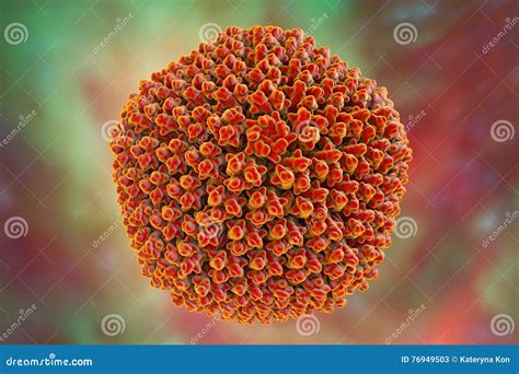 Adenovirus A Virus Which Cause Respiratory Infections Stock