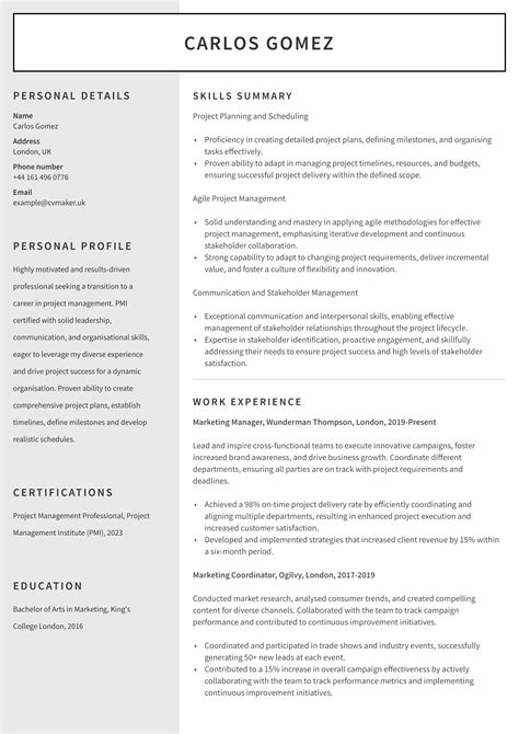 Best Career Change CV for 2024 (Free Examples & Tips)