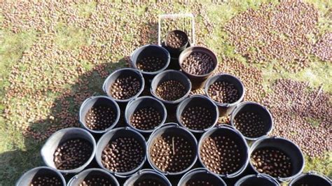 Michael Waddell Biography, Wiki, Height, Age, Net Worth – Biography Park