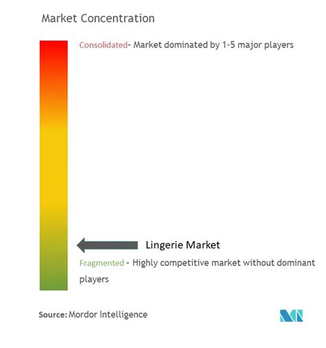 Lingerie Market Research Size Share