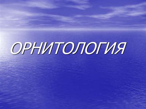 Орнитология (2). Викторина - презентация онлайн