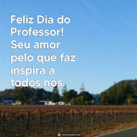Parabens Pelo Seu Dia Professor - Mensagem Especial: Parabéns pelo Seu Dia, Professor! - Frases do Bem