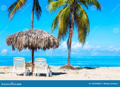 A Sun Loungers Under An Umbrella On The Sandy Beach With Palms By The