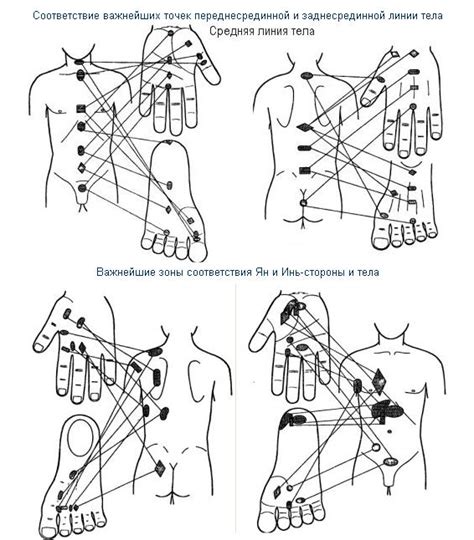 Атлас точек акупунктуры | Массаж.ру