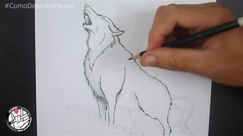 Desenho De Lobo Facil - 6
