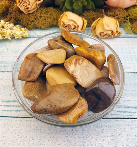 Agatized Coral Crystal Gemstone Shop