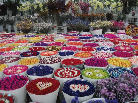 Pakdoktergolfblog Day 11 The Kunming Flower Market And Return Flight