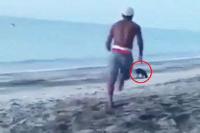 Viral Photo Half Naked Sunbather Beach Wedding Wedding Fail Australia Travel News Travel