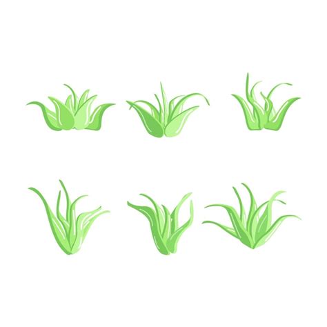 Premium Vector Illustration Of Grass Material Collection