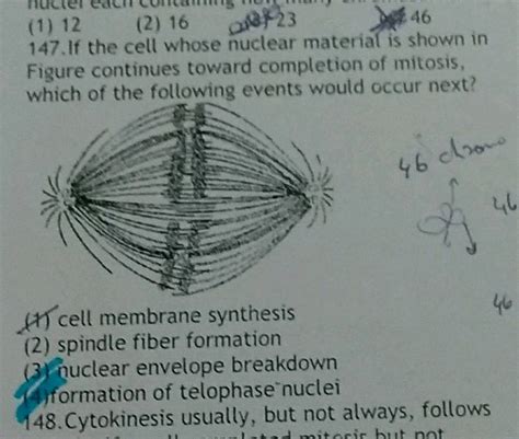 If The Cell Whose Nuclear Material Is