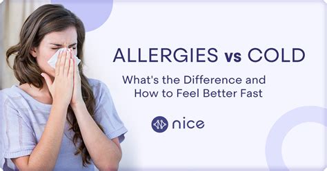 Allergies vs Cold: What's the Difference and How to Feel Better Fast ...