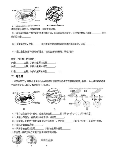 人教版 新课标七年级下册第四单元 生物圈中的人第四章 人体内物质的运输第二节 血流的管道──血管练习题 教习网试卷下载