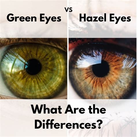 Dark Olive Green Eyes