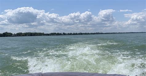 Secret Pineapple Babe