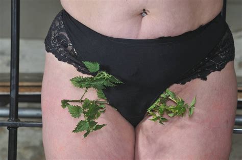 Stinging Nettles Bdsm And Needle Torture Of Mature Bbw Andrea Porn Pictures Xxx Photos Sex