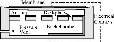 cross sectional structure   condenser microphone