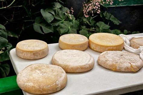 Queso Flor De Guía De El Cortijo De Caideros Guía Repsol Guía Repsol