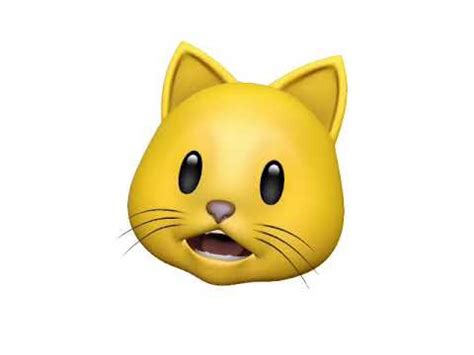 Animoji Cat Youtube