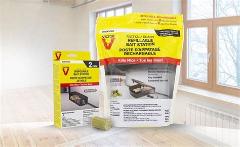 Are Rodenticides Right for Your Pest Control Plan?