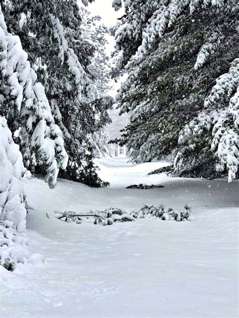 Lied Lodge - Our talented Wedding Manager, Patty Pierce,...
