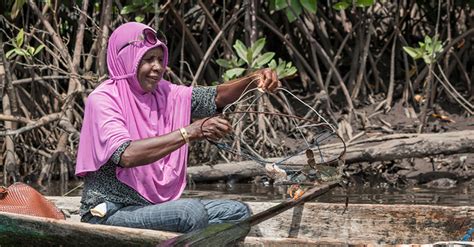 The More Mangi-Mangi, The More Crabs - EcoNusa