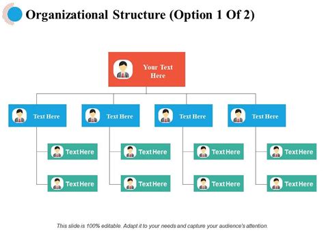 Organizational Structure Business Ppt Powerpoint Presentation File