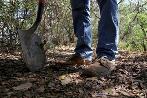 El Horror De Las Fosas Clandestinas Encontraron 82 Restos Humanos En