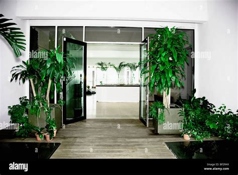 Potted Plants Near A Door Stock Photo Alamy