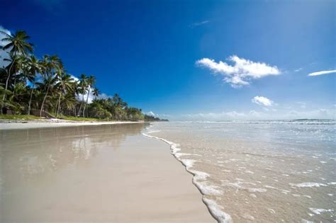 Best Restaurants In Diani | Top Diani Beach Restaurants