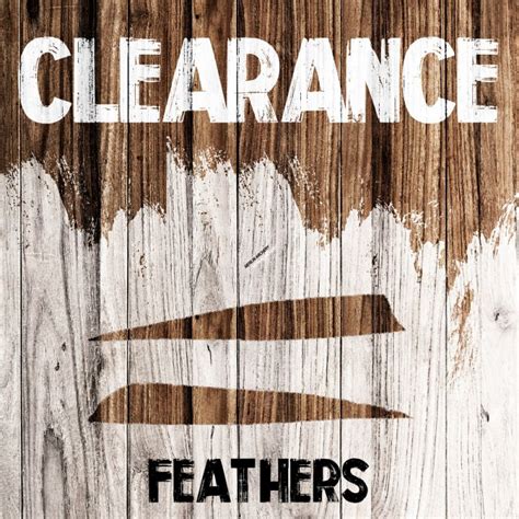 Clearance Feathers Merlin Archery