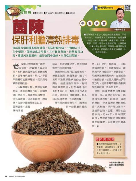 茵陳 保肝利膽清熱排毒 健康 時周