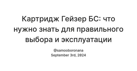Картридж Гейзер БС: что нужно знать для правильного выбора и ...