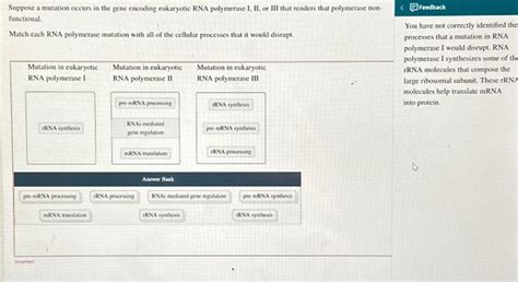 Solved Suppose A Mutation Occurs In The Gene Encoding Chegg