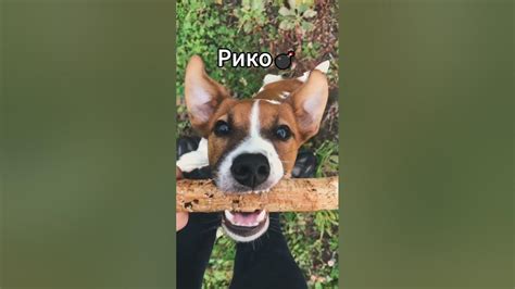 Кто ты сегодня? - YouTube