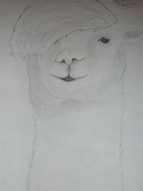 Emo Llama By Snowleporddragon On Deviantart