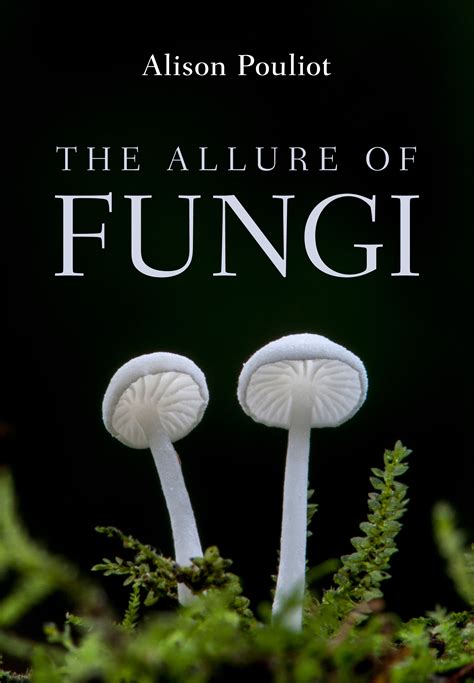 Guide To Clinically Significant Fungi 3