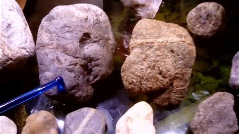 ancient rock art facial portraits  people animals  zoomorphs