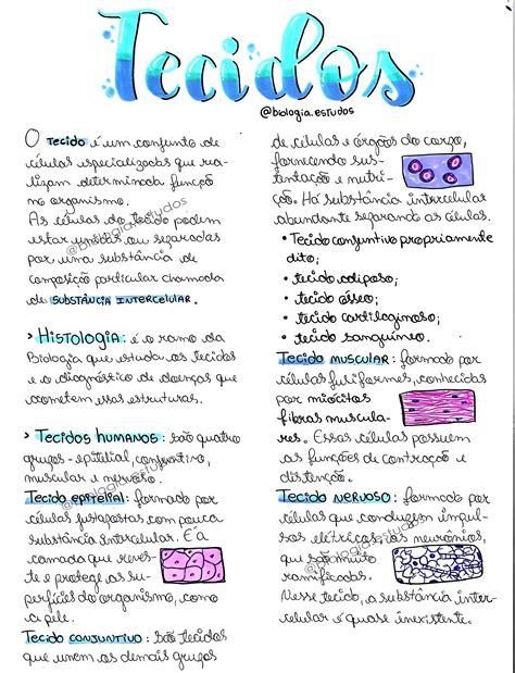 Resumo Sobre Os Tecidos Do Corpo Humano - 9