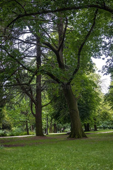 Laurelhurst Park Stock Photo Image Of Travel Outside 253580838
