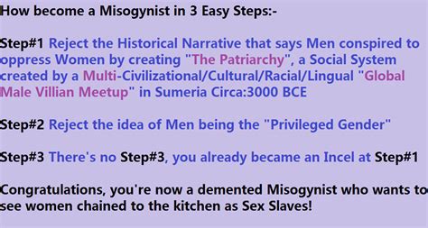 How To Become A Misogynist Rantifeminists